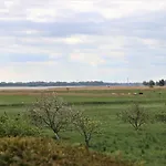 Дом отдыха Ferienhaeuser Strandhaus Leo *